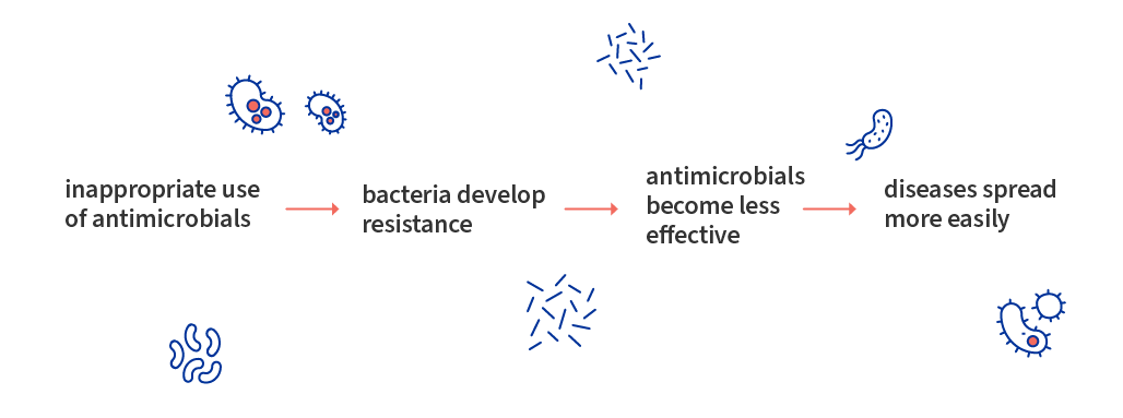 Why is antimicrobial resistance a global concern?